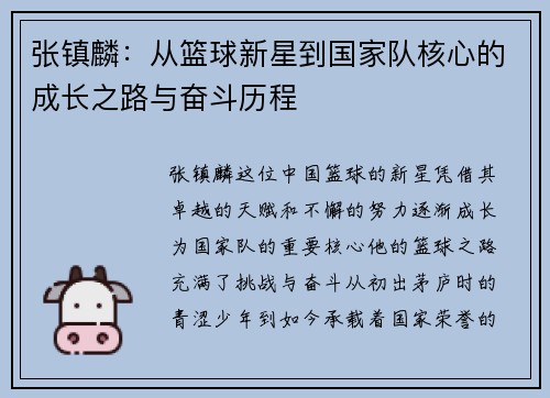 张镇麟：从篮球新星到国家队核心的成长之路与奋斗历程